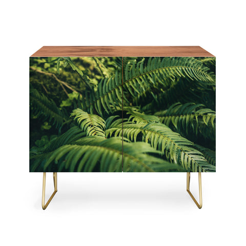 Hannah Kemp Green Ferns Photo Credenza