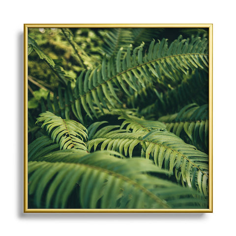 Hannah Kemp Green Ferns Photo Square Metal Framed Art Print