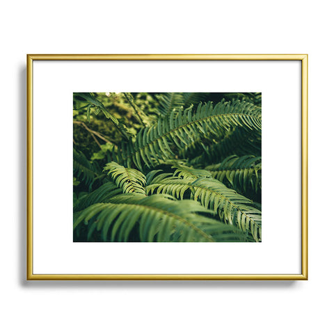 Hannah Kemp Green Ferns Photo Metal Framed Art Print