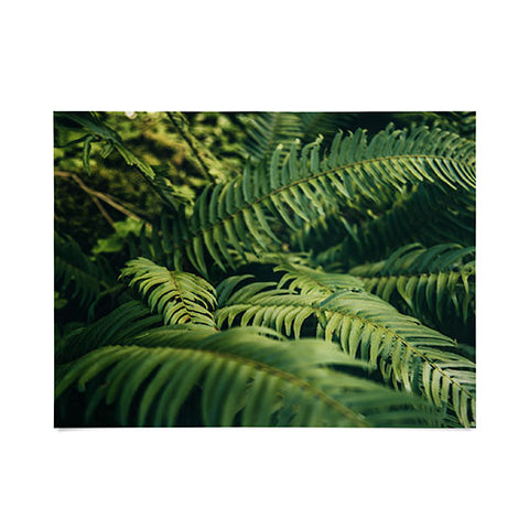 Hannah Kemp Green Ferns Photo Poster