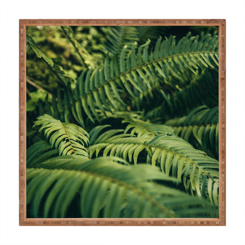 Hannah Kemp Green Ferns Photo Square Tray