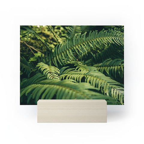 Hannah Kemp Green Ferns Photo Mini Art Print