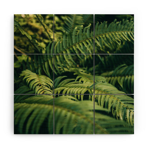 Hannah Kemp Green Ferns Photo Wood Wall Mural