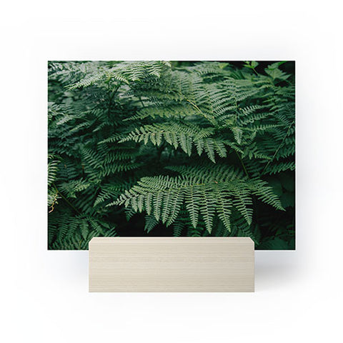 Hannah Kemp Green Ferns Mini Art Print