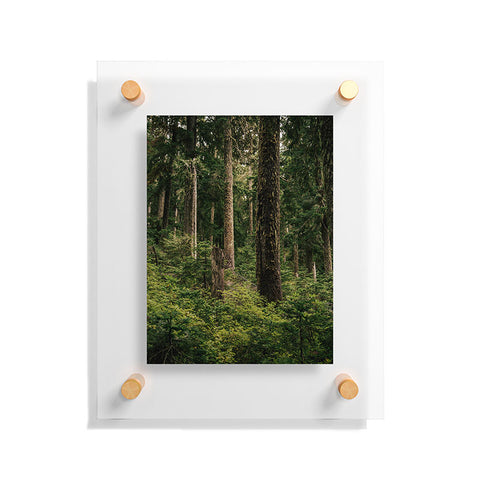 Hannah Kemp Green Forest Floating Acrylic Print