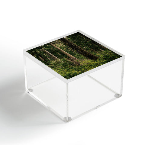 Hannah Kemp Green Forest Acrylic Box
