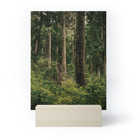 Hannah Kemp Green Forest Mini Art Print