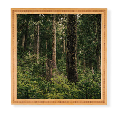 Hannah Kemp Green Forest Framed Wall Art