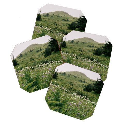 Hannah Kemp Green Wildflower Landscape Coaster Set