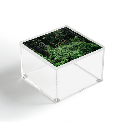 Hannah Kemp Green Woods Acrylic Box