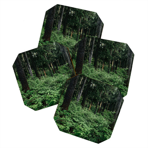 Hannah Kemp Green Woods Coaster Set