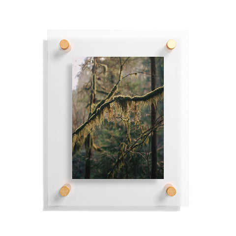 Hannah Kemp Hanging Moss Floating Acrylic Print