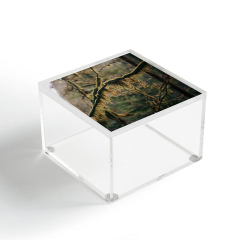 Hannah Kemp Hanging Moss Acrylic Box