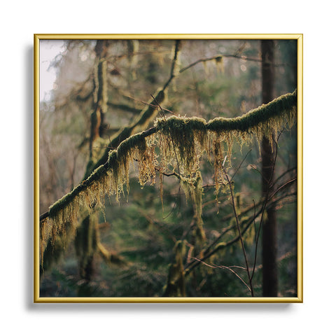 Hannah Kemp Hanging Moss Square Metal Framed Art Print