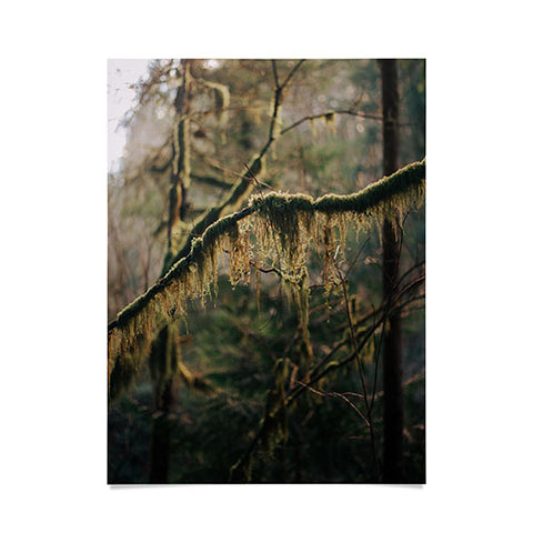 Hannah Kemp Hanging Moss Poster