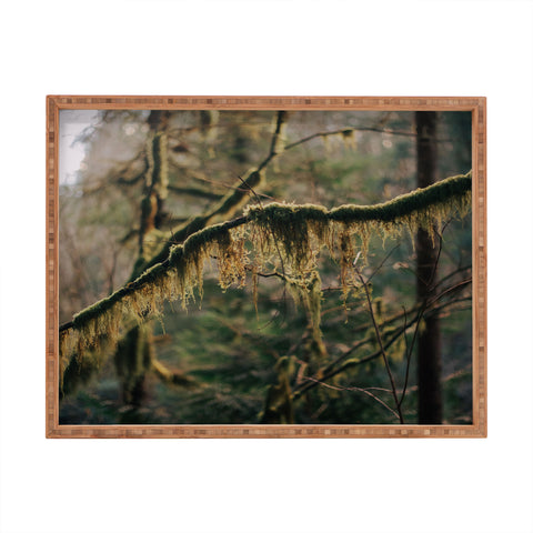 Hannah Kemp Hanging Moss Rectangular Tray