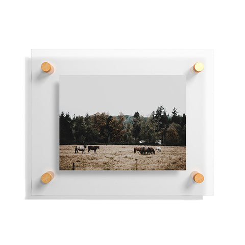 Hannah Kemp Horses two Floating Acrylic Print