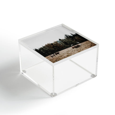 Hannah Kemp Horses two Acrylic Box