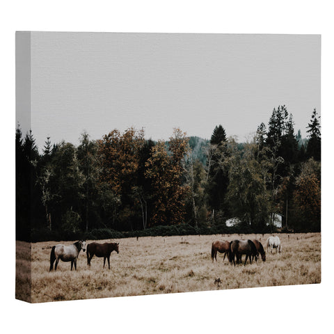 Hannah Kemp Horses two Art Canvas