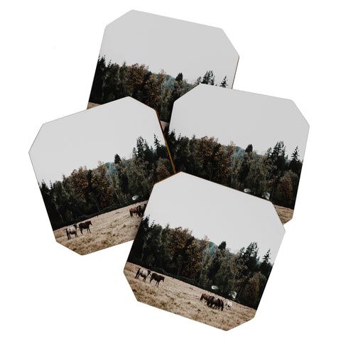Hannah Kemp Horses two Coaster Set