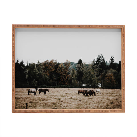 Hannah Kemp Horses two Rectangular Tray