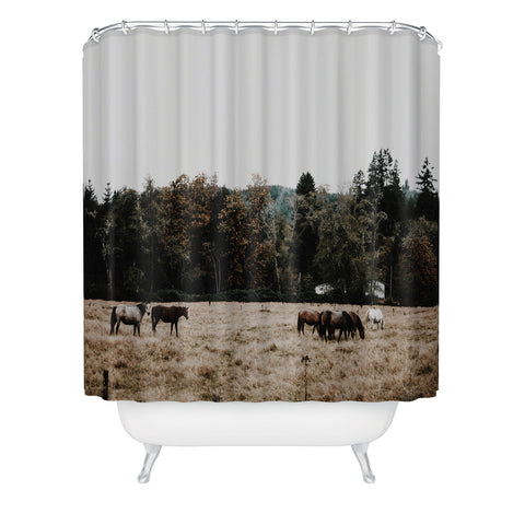 Hannah Kemp Horses two Shower Curtain