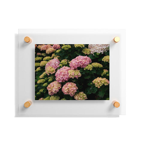 Hannah Kemp Hydrangeas Floating Acrylic Print