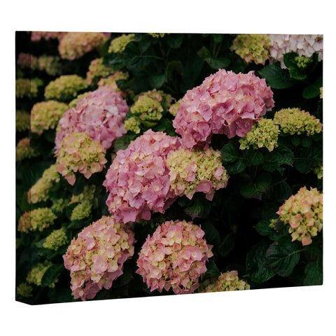 Hannah Kemp Hydrangeas Art Canvas