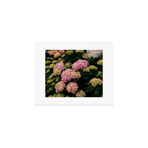 Hannah Kemp Hydrangeas Art Print
