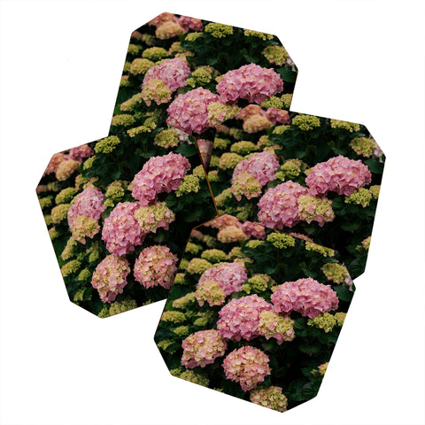 Hannah Kemp Hydrangeas Coaster Set