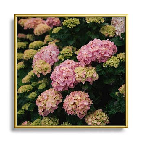 Hannah Kemp Hydrangeas Square Metal Framed Art Print