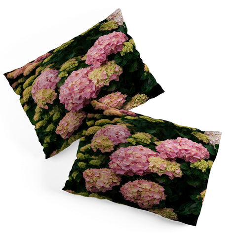 Hannah Kemp Hydrangeas Pillow Shams