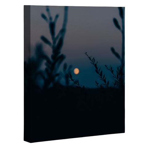 Hannah Kemp In The Moonlight Art Canvas