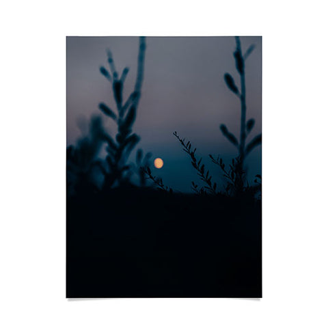 Hannah Kemp In The Moonlight Poster