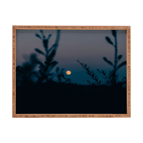 Hannah Kemp In The Moonlight Rectangular Tray