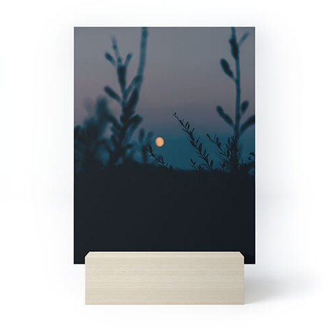 Hannah Kemp In The Moonlight Mini Art Print