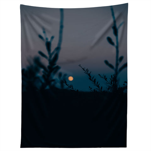 Hannah Kemp In The Moonlight Tapestry