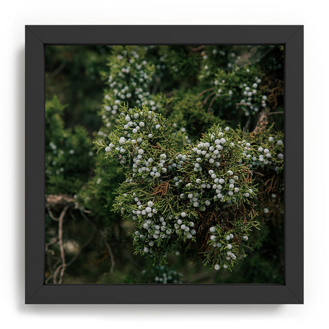 Hannah Kemp Juniper Recessed Framing Square