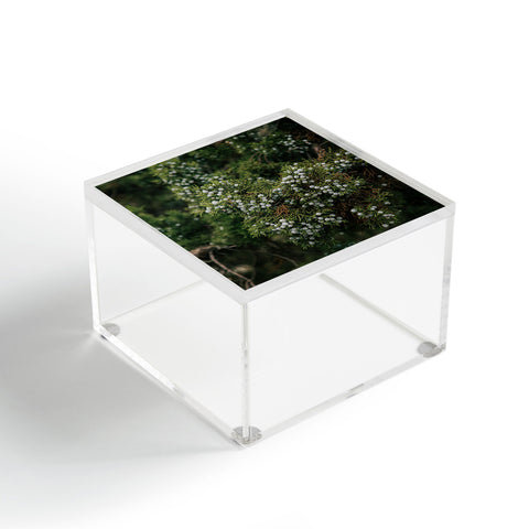 Hannah Kemp Juniper Acrylic Box