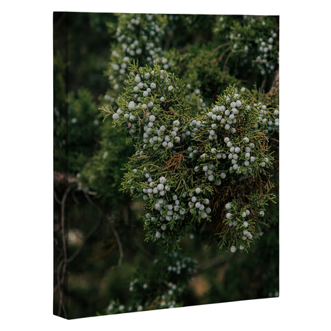 Hannah Kemp Juniper Art Canvas