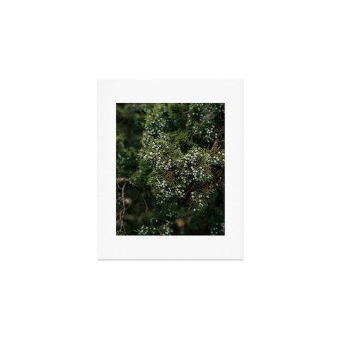 Hannah Kemp Juniper Art Print