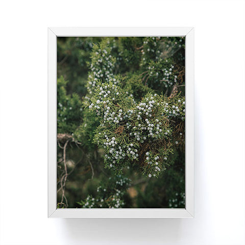 Hannah Kemp Juniper Framed Mini Art Print
