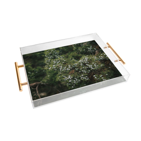 Hannah Kemp Juniper Acrylic Tray