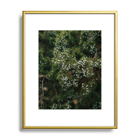 Hannah Kemp Juniper Metal Framed Art Print