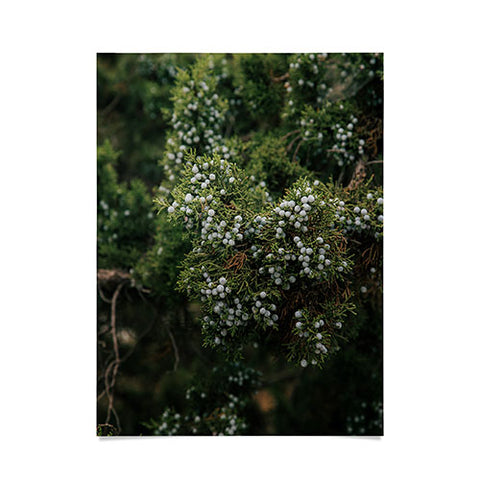 Hannah Kemp Juniper Poster