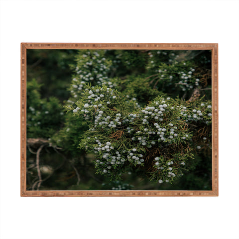 Hannah Kemp Juniper Rectangular Tray