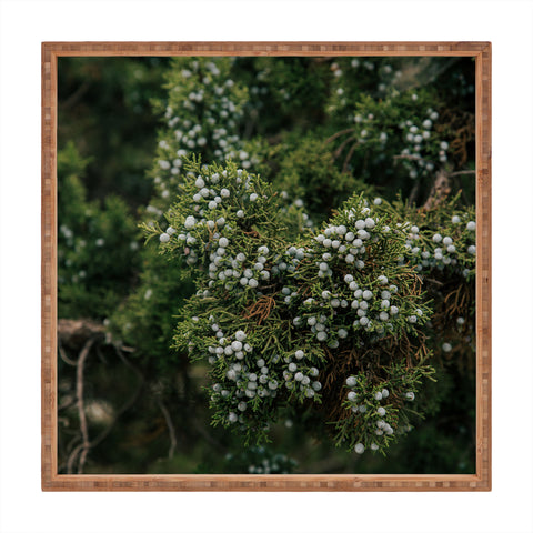 Hannah Kemp Juniper Square Tray