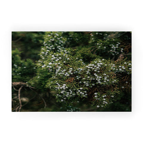 Hannah Kemp Juniper Welcome Mat