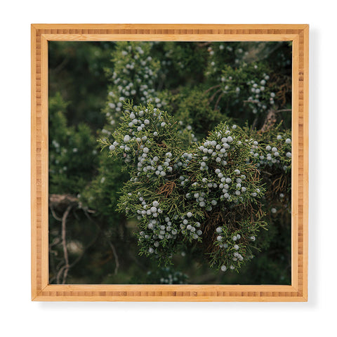 Hannah Kemp Juniper Framed Wall Art