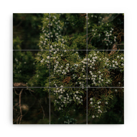 Hannah Kemp Juniper Wood Wall Mural